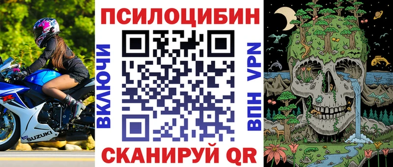 Псилоцибиновые грибы Psilocybine cubensis наркота Чусовой